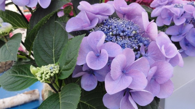 Image 55