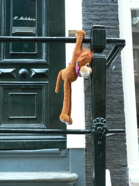 Image 99