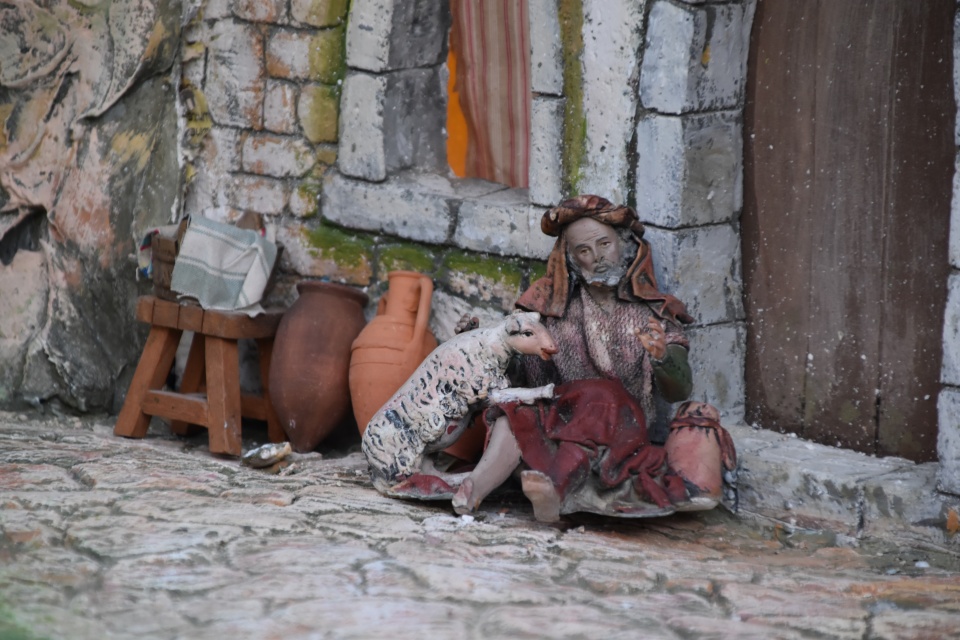 Image 35