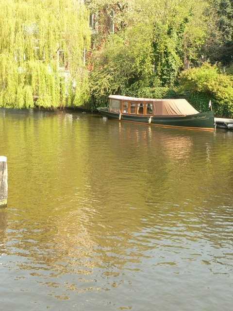 Image 19
