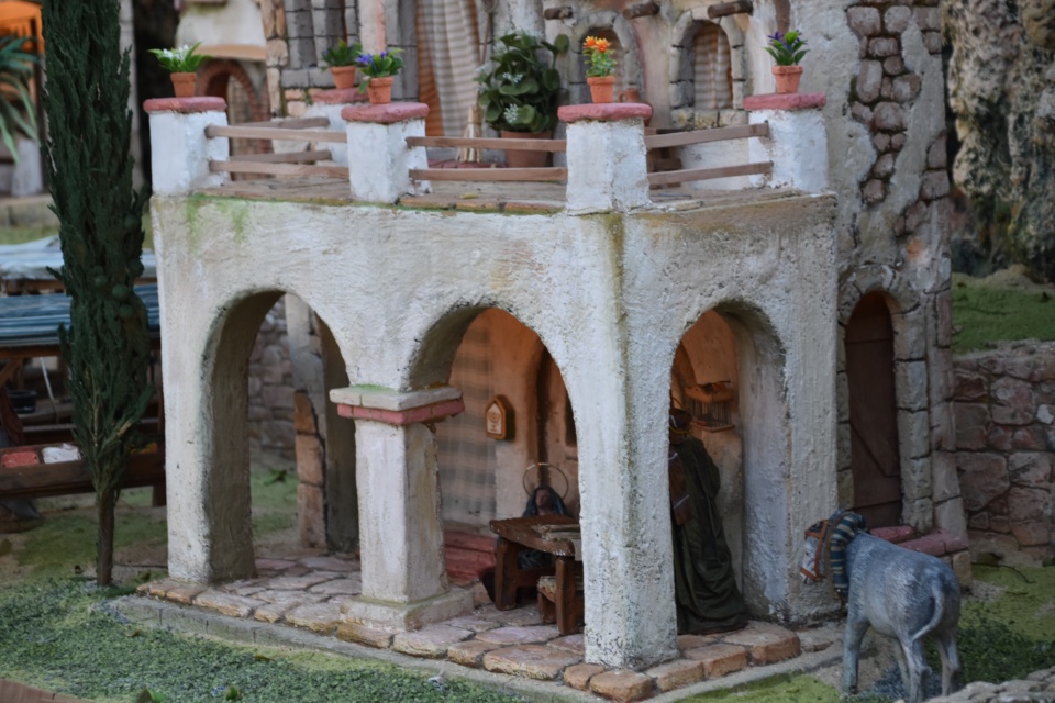 Image 15