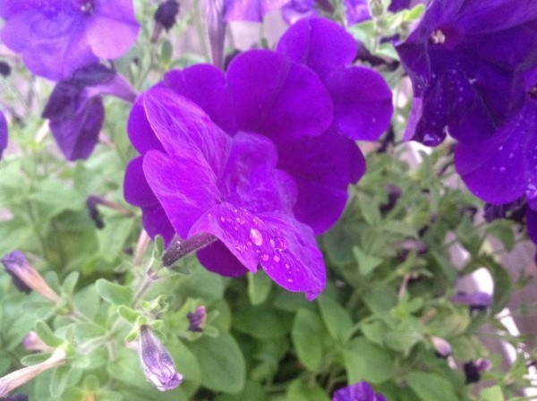 Image 28