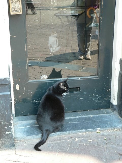 Image 98