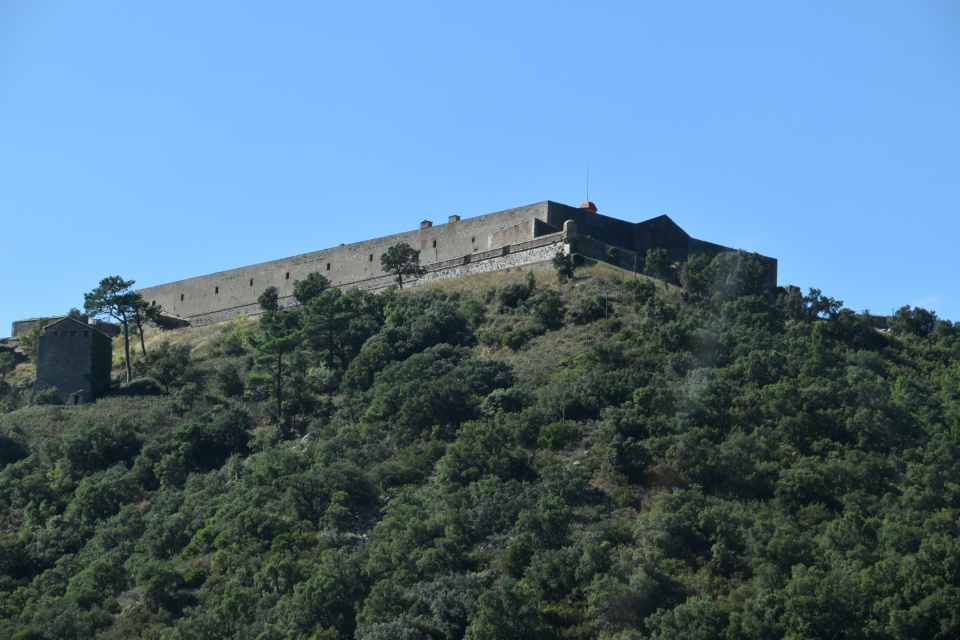 Image 10