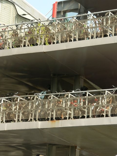 Image 16