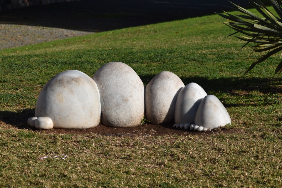 Image 47
