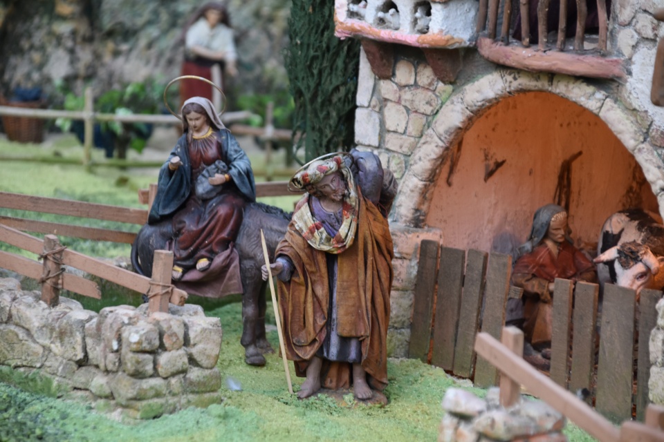 Image 25