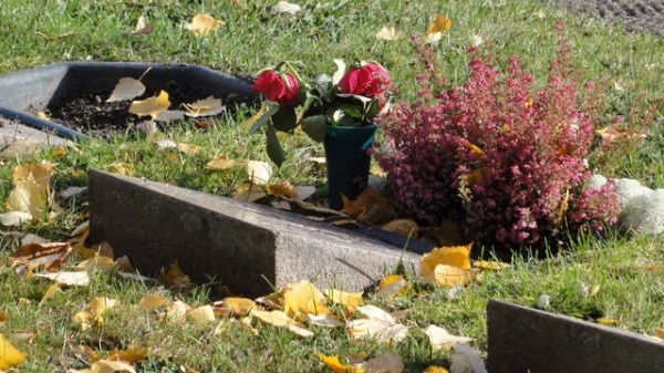 Image 59