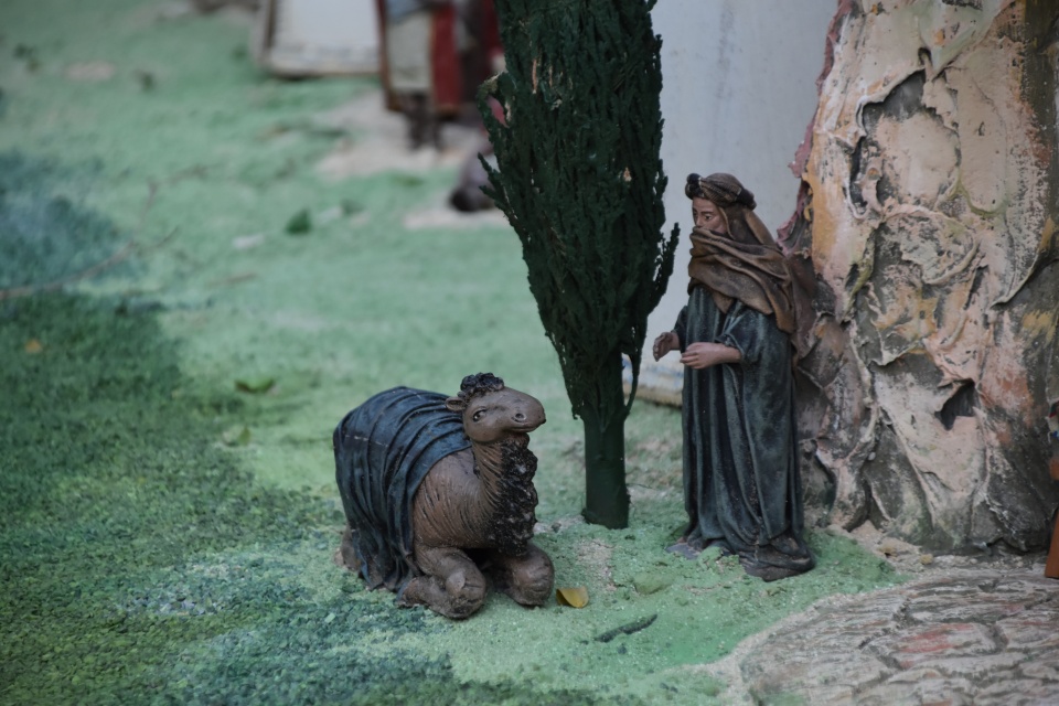 Image 33