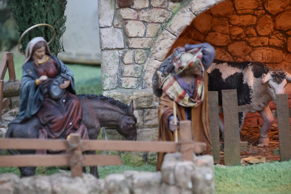 Image 27