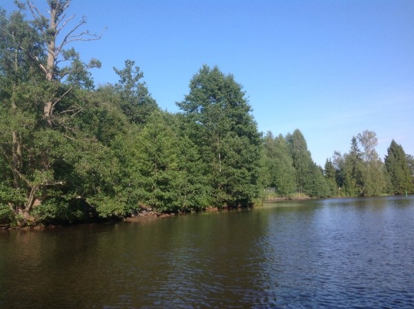 Image 24