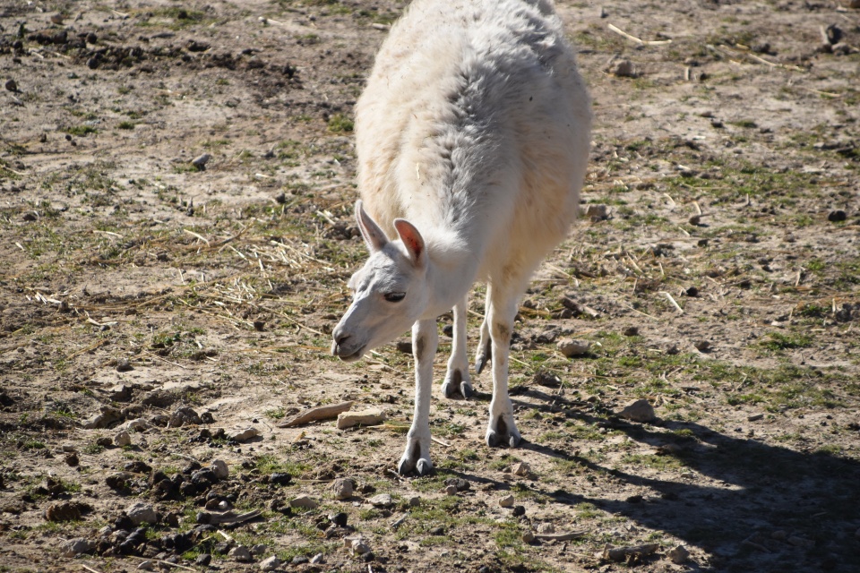 Image 32