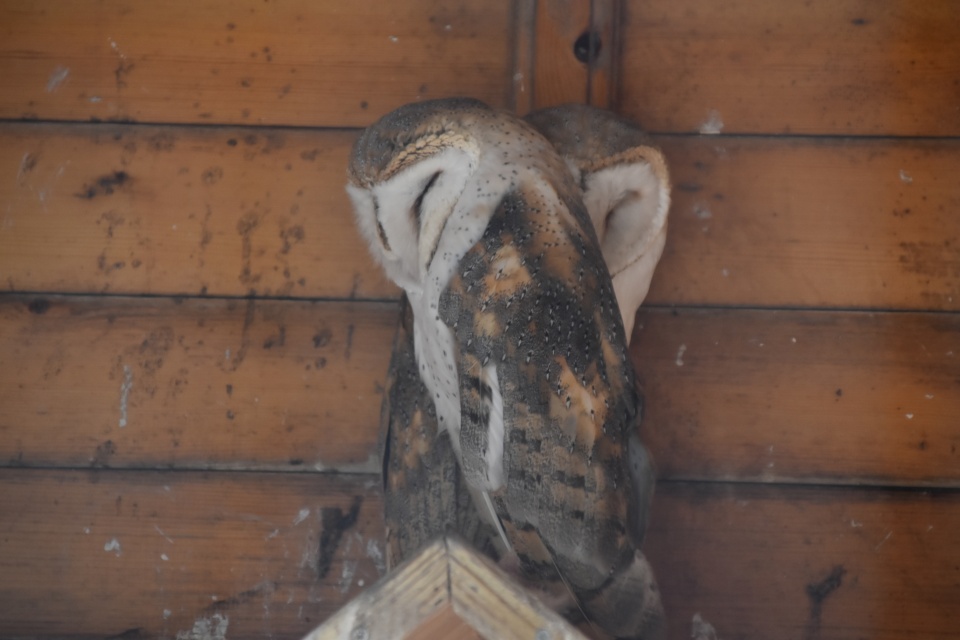 Image 57