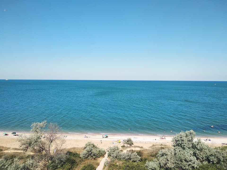 Image 11