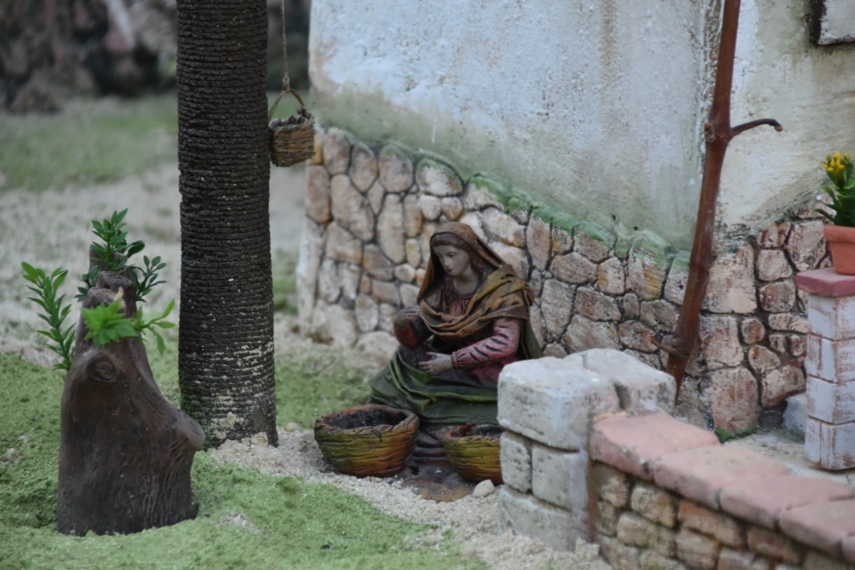Image 65