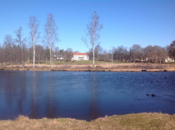 Image 10