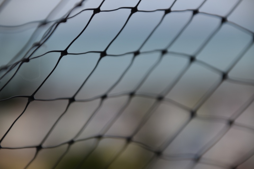Image 75