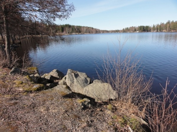 Image 38