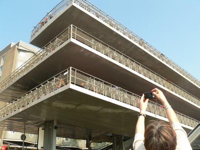 Image 17