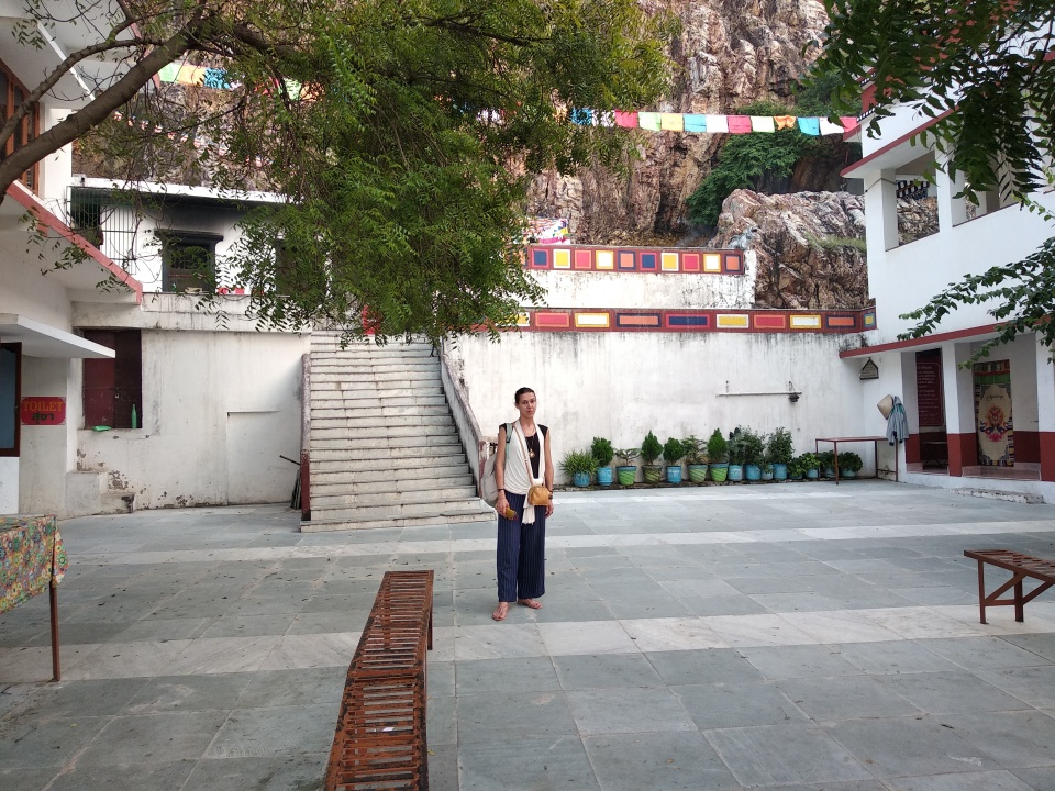 Image 11