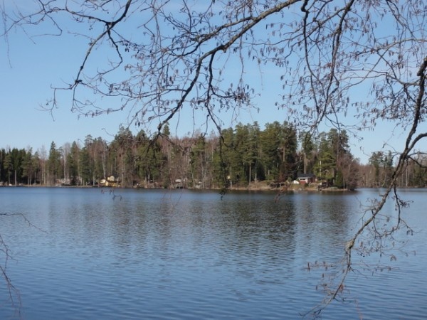 Image 37