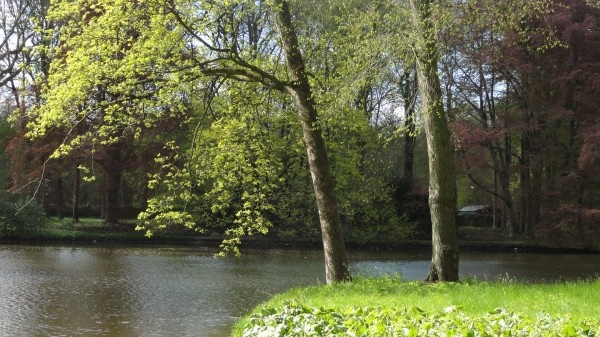 Image 15
