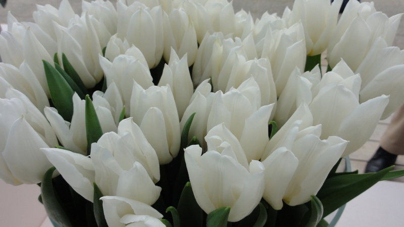 Image 96