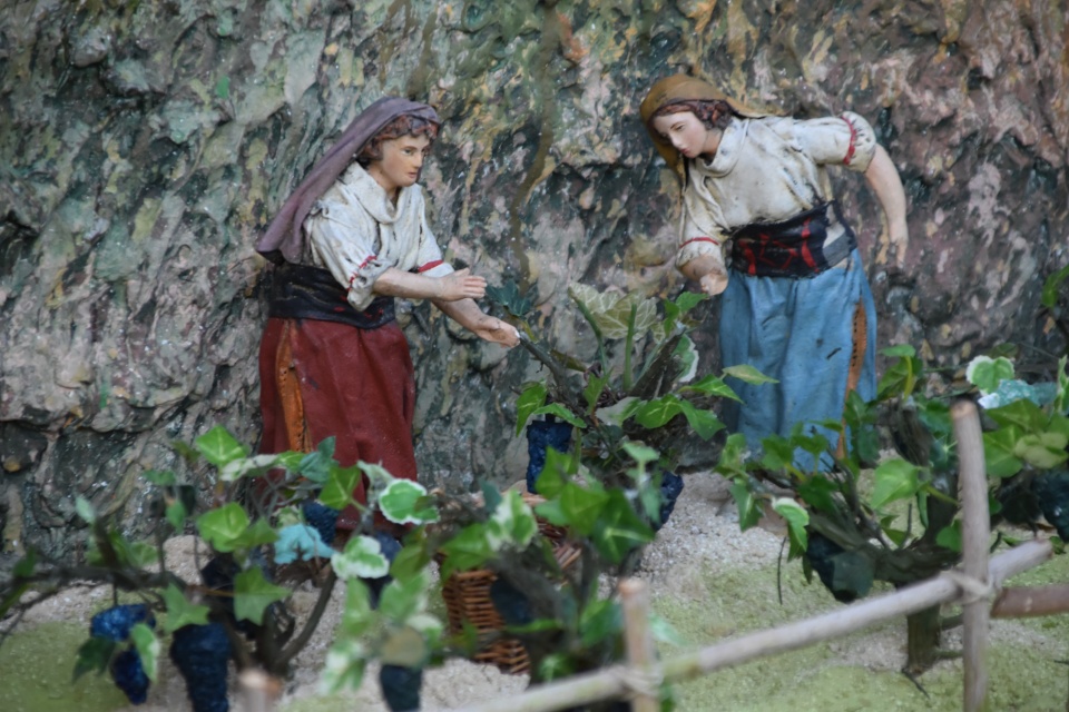 Image 26