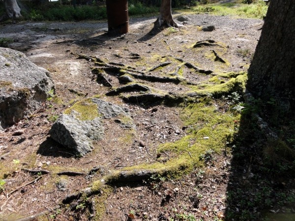 Image 70