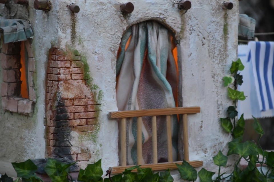 Image 66