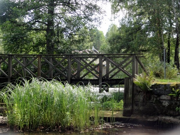 Image 50
