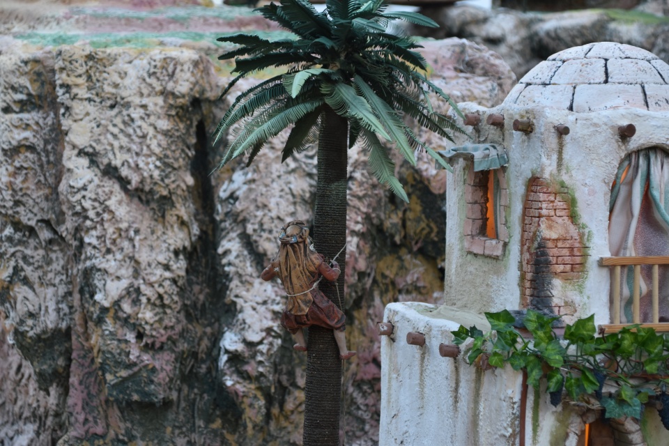 Image 62