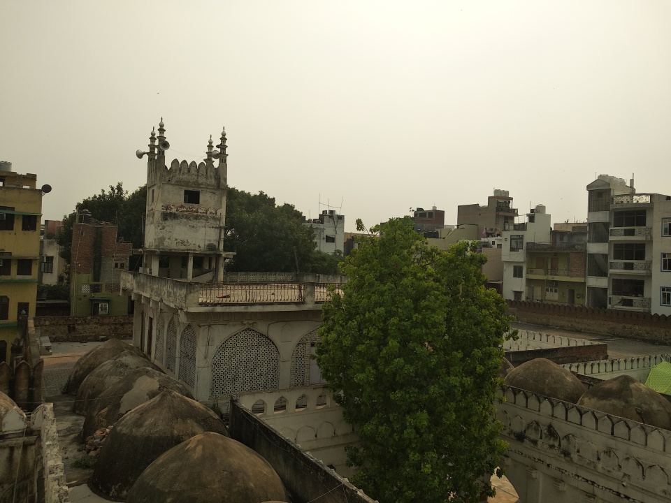 Image 7