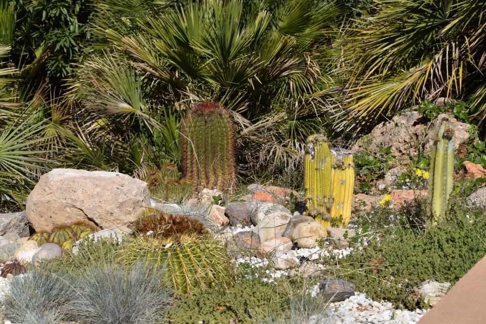 Image 6