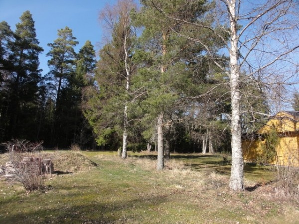 Image 41