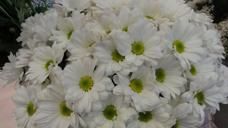 Image 117