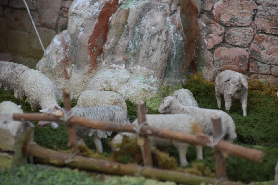 Image 46