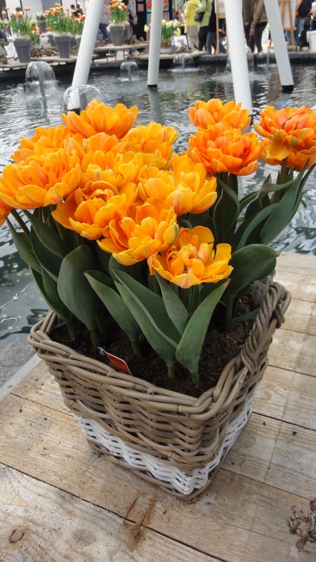 Image 72