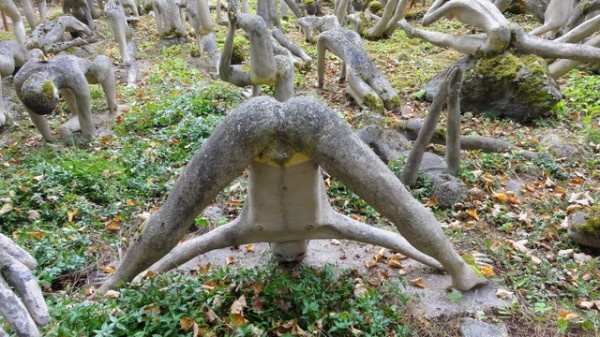 Image 74