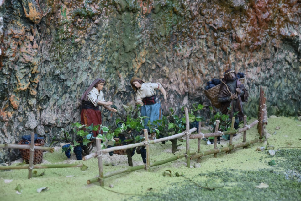 Image 22