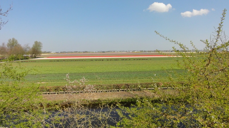 Image 17