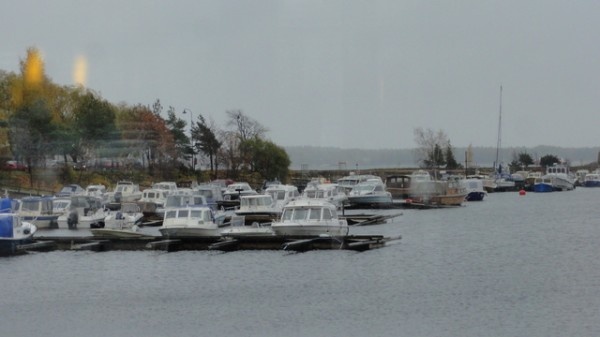 Image 16
