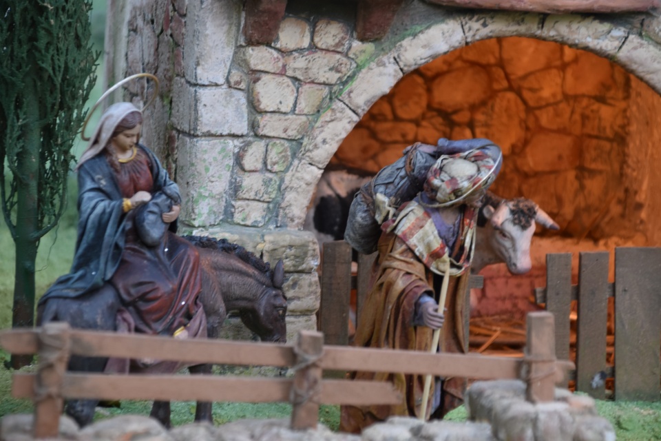 Image 23