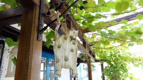 Image 22