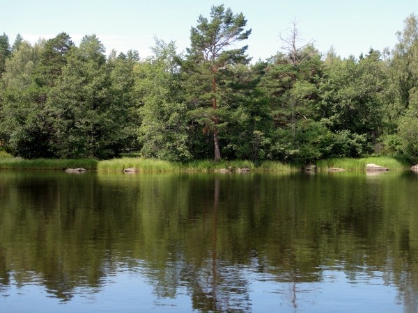 Image 51