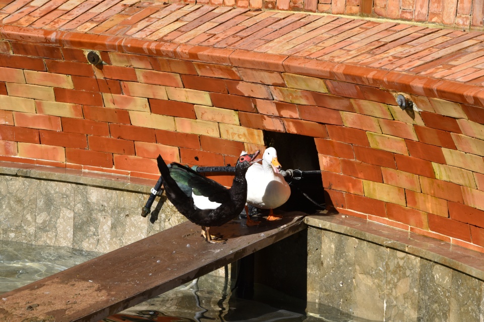 Image 17