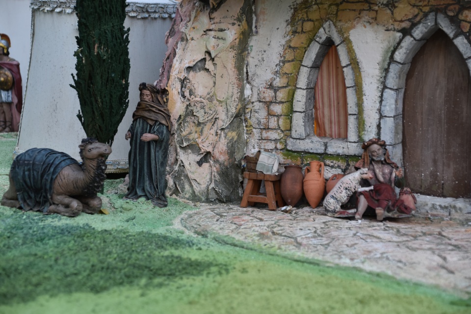 Image 31