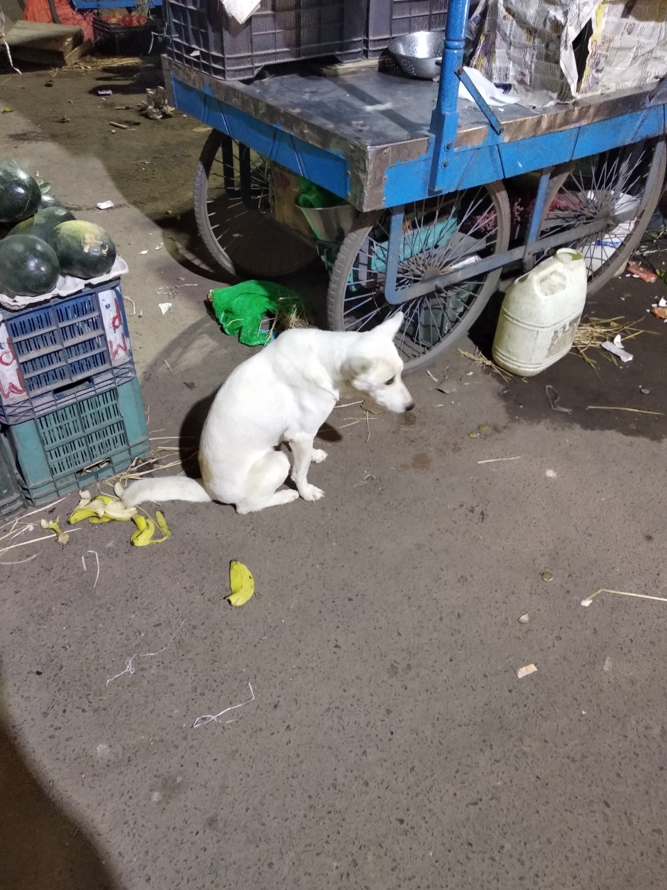 Image 13
