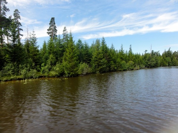 Image 37