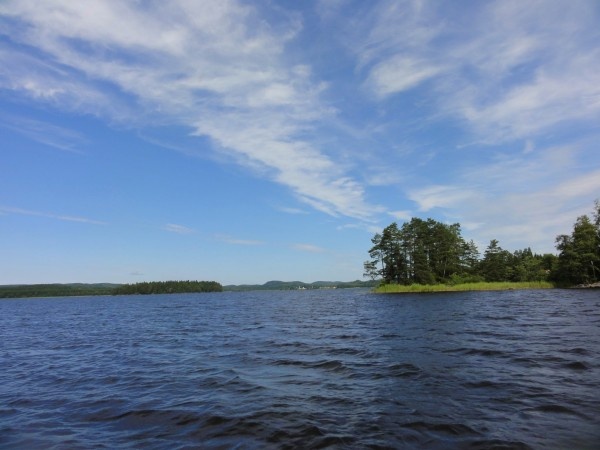 Image 53